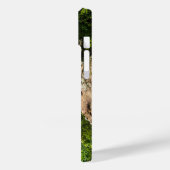 Coques Case-Mate iPhone Vue de la falaise de la forêt nationale d'Ozark (Verso / Gauche)