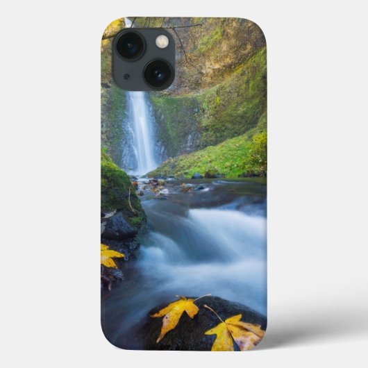 Coques Case-Mate iPhone Vue panoramique verticale des chutes du tunnel (Verso)