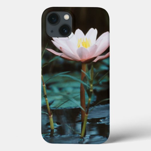 Coques Case-Mate iPhone Vue rapprochée de nénuphar à Inle Lake (Verso)