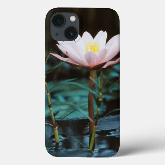 Coques Case-Mate iPhone Vue rapprochée de nénuphar à Inle Lake (Verso)