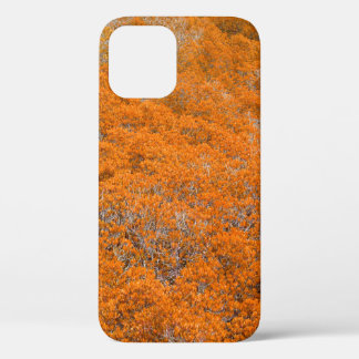 Case-Mate iPhone Case Vue sur la forêt orange. Arrière - plan de feuille
