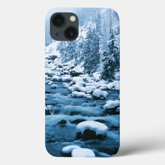 Coques Case-Mate iPhone WA, Wenatchee National Forest, Cascade (Verso)