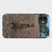 Coques Case-Mate iPhone Wallaby Australienne Profitant De Son Bâton, (Dos (Horizontal))