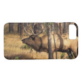 Coques Case-Mate iPhone wapiti, Cervus elaphus, bull bourdonne dans un brû (Dos (Horizontal))
