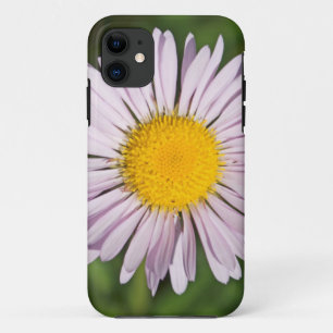 Coques Pour iPhone Washington, chaîne Cascade, Mont Baker