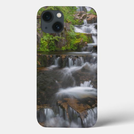 Coques Case-Mate iPhone Washington, Mount Rainier National Park 2 (Verso)