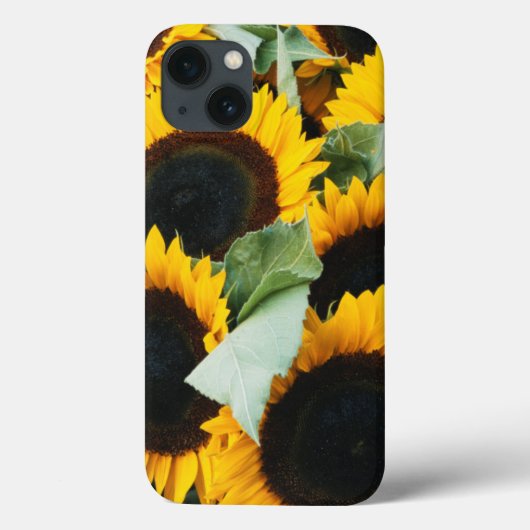 Coques Case-Mate iPhone Washington, Seattle, Sunflower for sale pike (Verso)