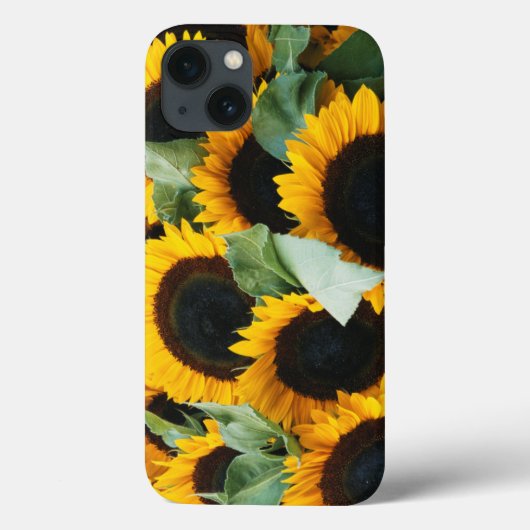 Coques Case-Mate iPhone Washington, Seattle, Tournesol à vendre pike (Verso)