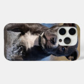Coques Case-Mate iPhone "Wave Chaser : Un chiot robuste en jeu dans l'océa (Verso (horizontal))