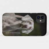 Coques Case-Mate iPhone Weimaraner (Dos (Horizontal))