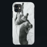 Coques Pour iPhone Weimaraners paresseux<br><div class="desc">Si vous avez jamais aimé un Weim,  vous n'avez besoin d'aucune explication…</div>