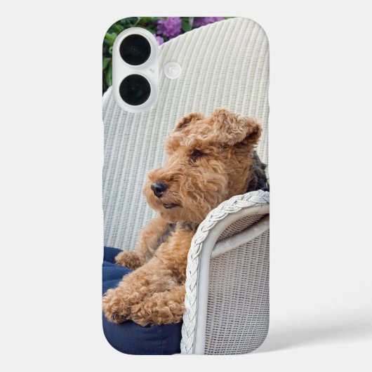 Coques Case-Mate iPhone Welsh Terrier (Verso)