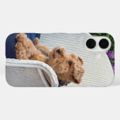 Coques Case-Mate iPhone Welsh Terrier (Verso (horizontal))