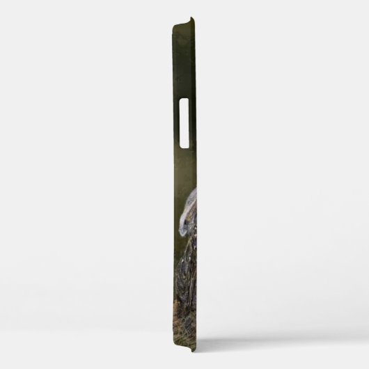 Coques Case-Mate iPhone Western Barn Owl (Verso / Droite)