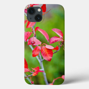 Case-Mate iPhone Case Western Choke Cherry (Prunus Virginiana) In Fall