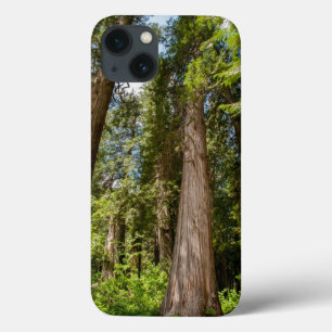 Case-Mate iPhone Case Western Red Cedar Trees