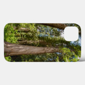 Coques Case-Mate iPhone Western Red Cedar Trees (Verso (horizontal))