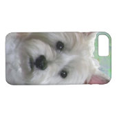 COQUES Case-Mate iPhone WESTIE (Dos (Horizontal))
