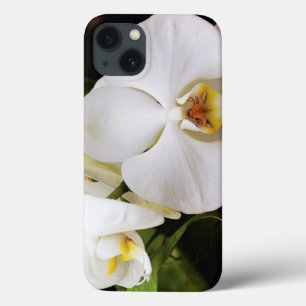Coques Pour iPhone White Moon Orchid (Phalaenopsis Aphrodite)