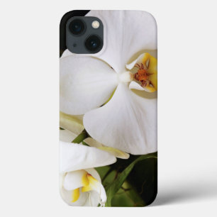iPhone 13 Coque White Moon Orchid (Phalaenopsis Aphrodite)