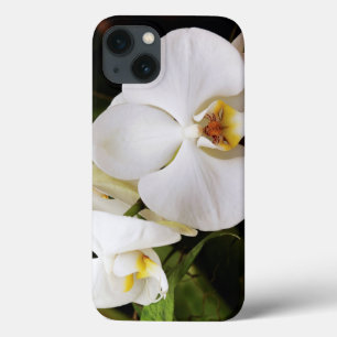 Case-Mate iPhone Case White Moon Orchid (Phalaenopsis Aphrodite)
