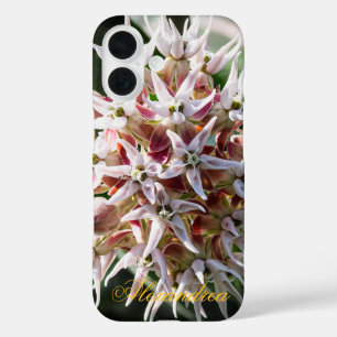 Coques iPhone 16 White Showy Milkweed - Nature Photography