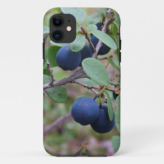 Coques Case-Mate iPhone Wild Berries iPhone 5 Coque-Mate (Dos)