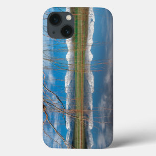 Coques Pour iPhone Winter Reflections. Ceres, Boland District