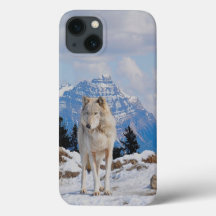 Wolf & Mountain Wolf-Lover Wildlife Art