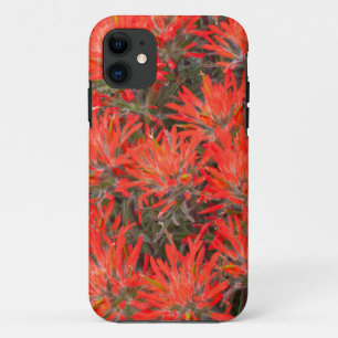 Etui iPhone Case-Mate Wyoming, comté de Lincoln, Desert Paintbrush