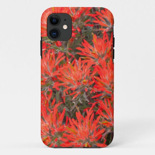 Coques Case-Mate iPhone Wyoming, comté de Lincoln, Desert Paintbrush (Dos)