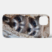 Coques Case-Mate iPhone Wyoming, comté de Lincoln, Raton laveur (Verso (horizontal))