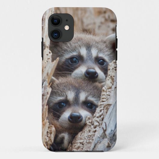 Coques Case-Mate iPhone Wyoming, comté de Lincoln, Raton laveur (Dos)