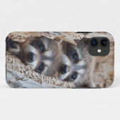 Coques Case-Mate iPhone Wyoming, comté de Lincoln, Raton laveur (Dos (Horizontal))