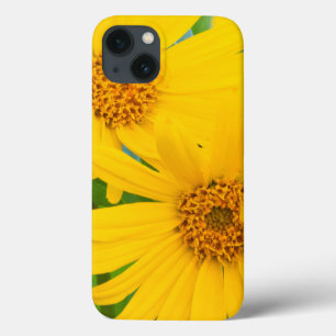 iPhone 13 Coque Wyoming, comté de Sublette, Gros plan de deux flèc