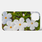 Coques Case-Mate iPhone Wyoming, Comté de Sublette, Gros plan de Phlox (Verso (horizontal))