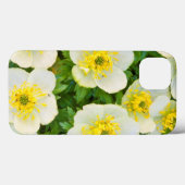 Coques Case-Mate iPhone Wyoming, Comté de Sublette, Gros plan d'un groupe (Verso (horizontal))