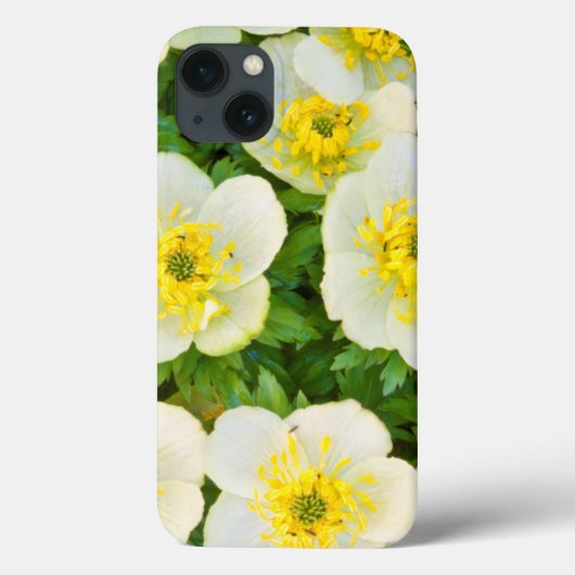 Coques Case-Mate iPhone Wyoming, Comté de Sublette, Gros plan d'un groupe (Verso)