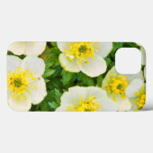 Coques Case-Mate iPhone Wyoming, Comté de Sublette, Gros plan d'un groupe (Verso (horizontal))