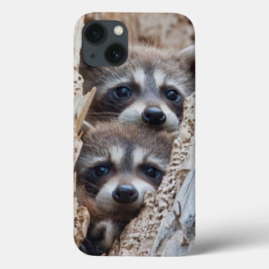 Coques Case-Mate iPhone Wyoming, Lincoln County, Raccoon (Verso)