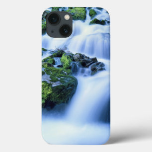 Etui iPhone Case-Mate Wyoming. USA. Printemps périodique pendant la pé