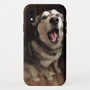 Coque Case-Mate Pour iPhone Yawning Alaskan Malamute photo