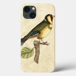 Case-Mate iPhone Case Yellow and Green Bird Perched on a Little Branch