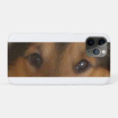 Coques Case-Mate iPhone Yeux de Berger des Shetland (Dos (Horizontal))