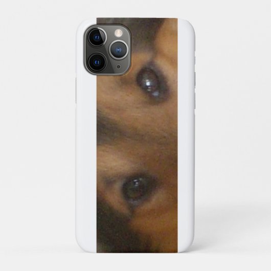 Coques Case-Mate iPhone Yeux de Berger des Shetland (Dos)