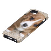 Coques Case-Mate iPhone Yeux de chiot (Bas)