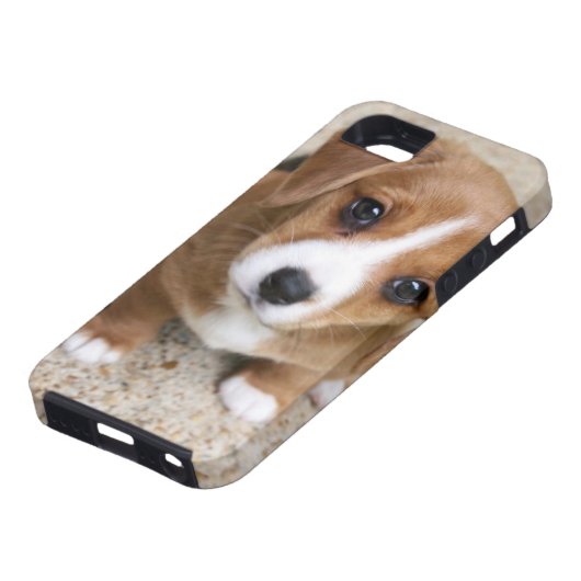 Coques Case-Mate iPhone Yeux de chiot (Bas)