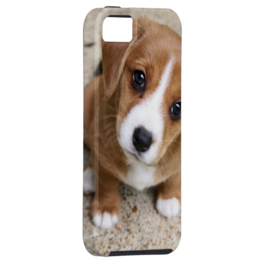 Coques Case-Mate iPhone Yeux de chiot (Dos/Droit)