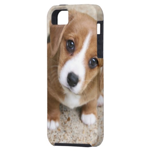 Coques Case-Mate iPhone Yeux de chiot (Dos gauche)