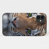 Coques Case-Mate iPhone Yeux verts de tigre de Bengel (Dos (Horizontal))
